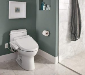 Best Bidet Toilet Seat reviews