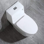 Woodbridge Toilet Review: T-0019 (T-0001) Dual Flush Elongated One-Piece Toilet with Soft Closing Seat