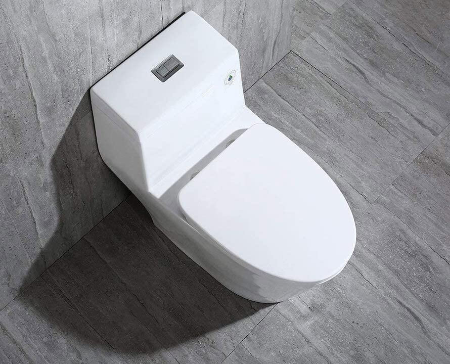 Woodbridge Toilet Review: T-0019
