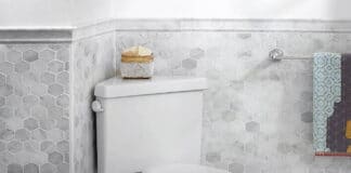 American Standard Toilet Review: Cadet 3 Dual Flush Corner