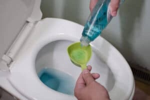 How to unclog a toilet with dish soap