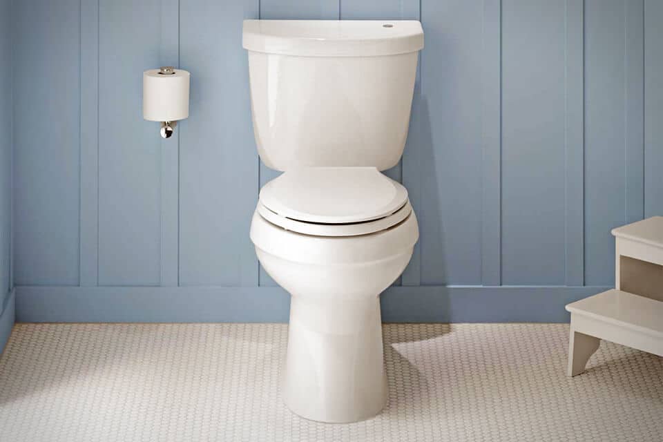 KOHLER K-3615-0 Gabrielle Toilet Review