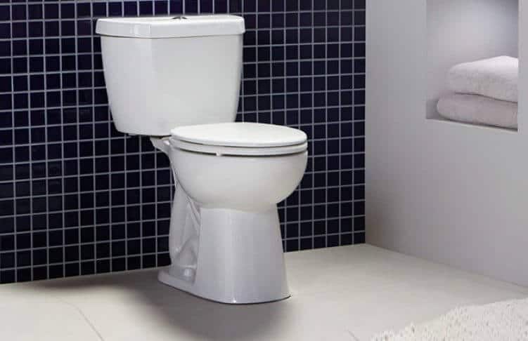 Niagara Stealth Toilet Review